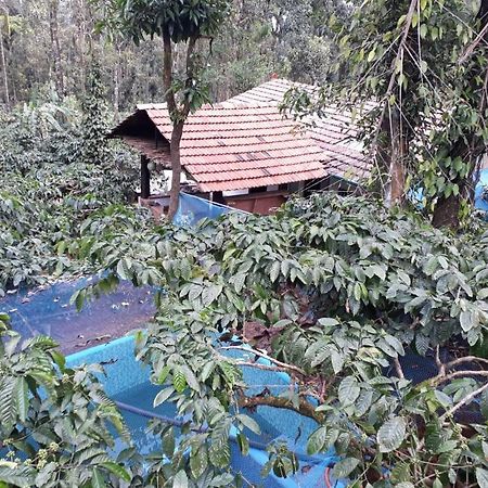Durf Green Madikeri Εξωτερικό φωτογραφία
