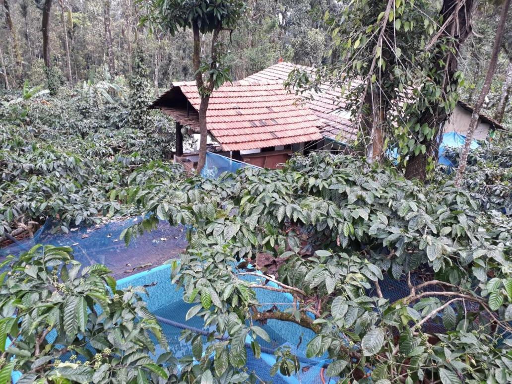 Durf Green Madikeri Εξωτερικό φωτογραφία